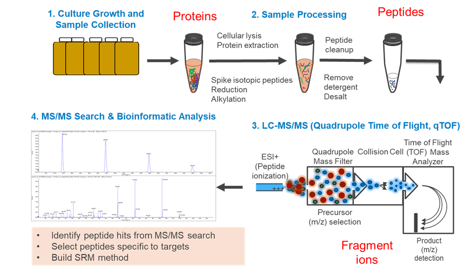 File:ProteomicsFig2.png - Enviro Wiki
